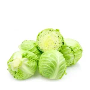 Bắp cải