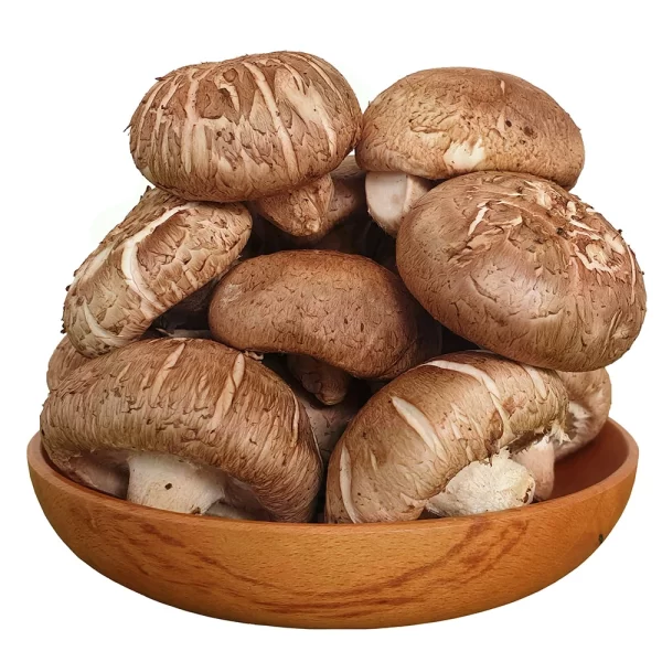 Nấm đông cô ( nấm hương)