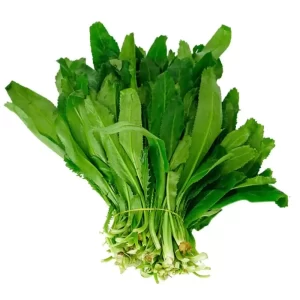 Ngò gai