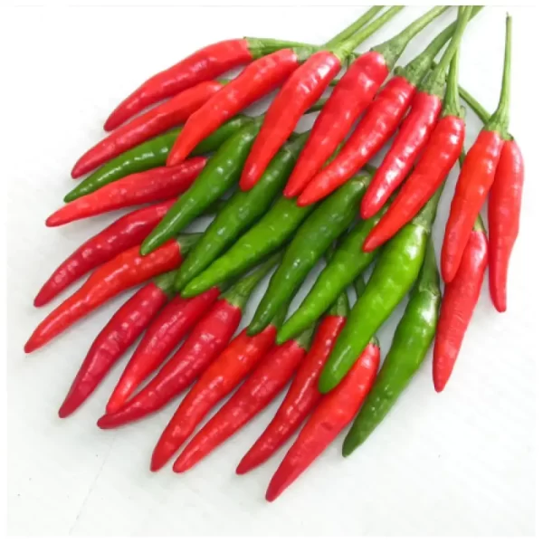 Ớt chỉ thiên lặt