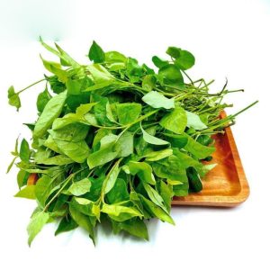 Rau ngót nhật