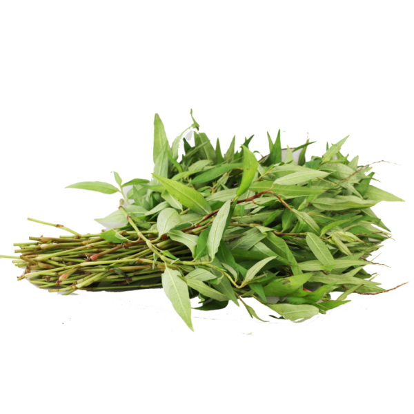 Rau răm