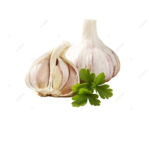 Tỏi tươi